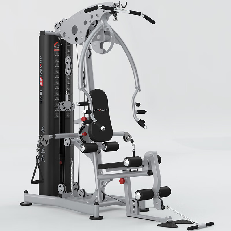 尊龙时凯 综合训练器单人站218多功能运动力量健身器材 218单人站