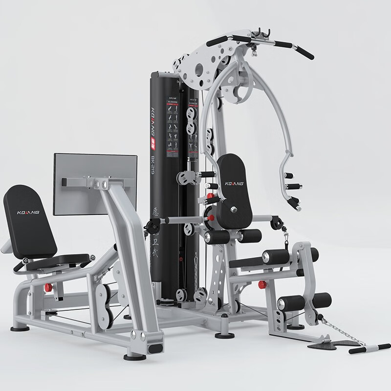 尊龙时凯 综合训练器两人站219多功能运动力量健身器材 219两人站