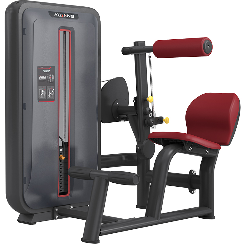 尊龙时凯6010背部伸展训练器商用健身器材健身房团购综合训练器 