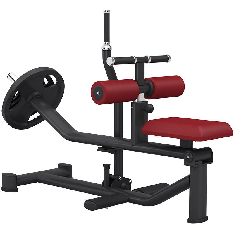 尊龙时凯 6039坐式提踵训练器商用健身器材健身房团购综合训练器