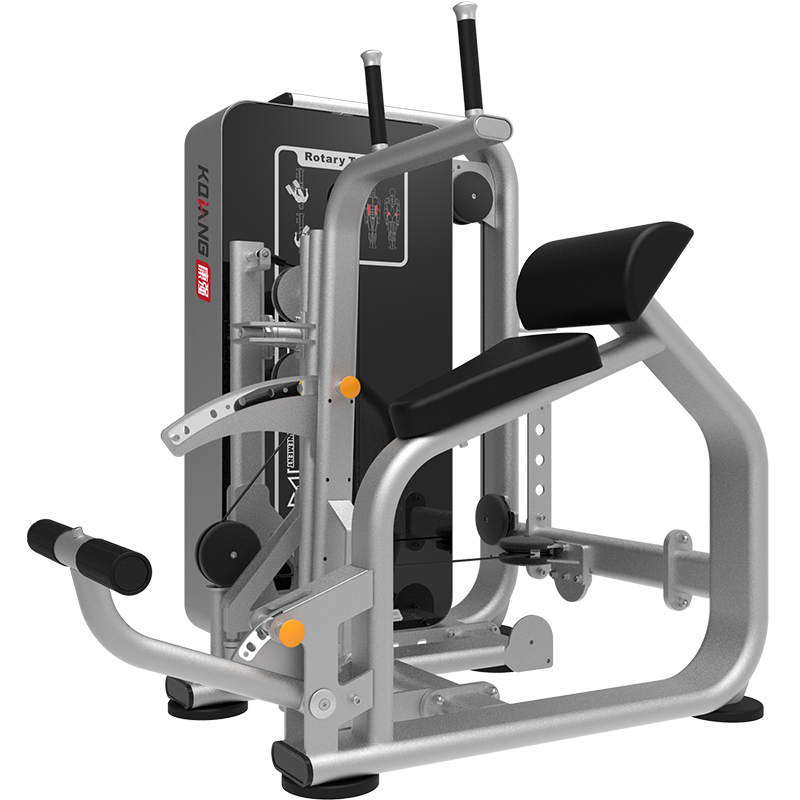 尊龙时凯GT系列综合训练器家用商用背/腹肌训练器GTS172